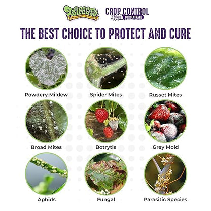 Trifecta Crop Control Super Concentrate All-in-One Natural Pesticide, Fungicide, Miticide, Insecticide, Help Defeat Spider Mites, Powdery Mildew, Botrytis, Mold, and More on Plants 4 OZ