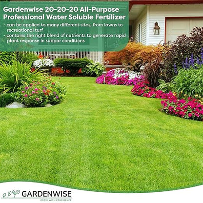 20-20-20 Water-Soluble Fertilizer – Powder for Liquid Plant Food for Indoor & Outdoor Plants, Orchids, Vegetables, Lawns, Flowers – 20 20 20 Fertilizer (20 QUARTS)