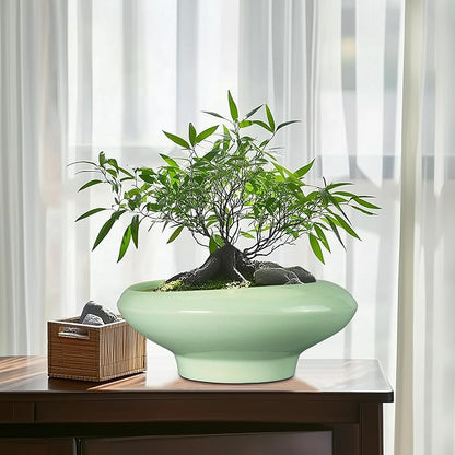 Ceramic Bonsai Pots - Large Succulent Planter 13 Inch Plant Pot Indoor Succulent Pot with Drainage Hole Outdoor Planter Bonsai Tree Pot for House Home Garden Office Decor Green