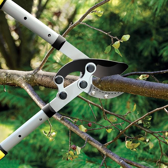 JARDINEER 3Pcs Branch Cutter Heavy Duty, Extendable Loppers for Tree Trimming, 28-38.5" Garden Lopper with 2 Inch Cutting Capacity, Include Pruning Shear and SK5 Spare Blade