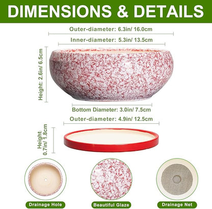 Bonsai Pots Small - 6 Inch Ceramic Succulent Pots with Drainage Hole and Ceramic Saucer, Succulent Planters Indoor Outdoor, Shallow Round Planter, Apartment Decor, Housewarming Gifts, Red
