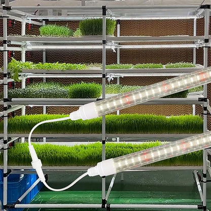 CusomikT8 T5 LED Grow Light Strips 2ft 60W(6x10W, 500W Equivalent) Full Spectrum, IP65 Waterproof Indoor Outdoor Plant Grow Lights for Greenhouse Shelves Wired Timing Switch, Plug Play 6-Pack
