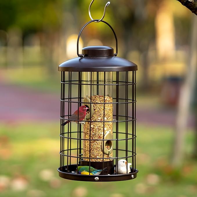 Caged Bird Feeders Metal - 3 Lbs - Squirrel-Proof Wild Bird Feeders, Clear Tube Feeders Hanging Outside Starling Proof, Detachable Cleaning, 4 Feed Ports(Copper)