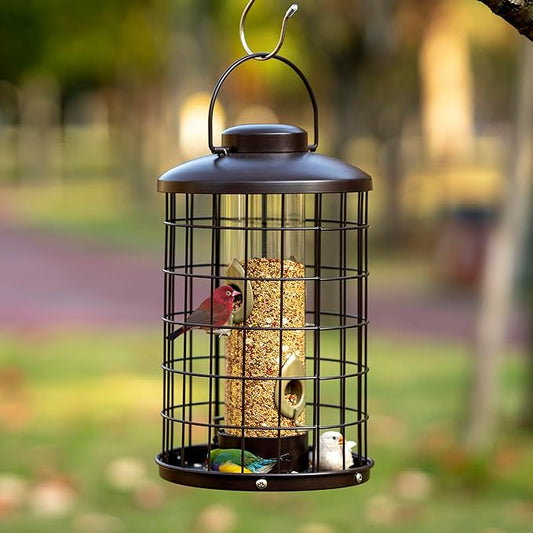 Caged Bird Feeders Metal - 3 Lbs - Squirrel-Proof Wild Bird Feeders, Clear Tube Feeders Hanging Outside Starling Proof, Detachable Cleaning, 4 Feed Ports(Copper)