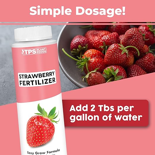 Strawberry Fertilizer for Fruit and Berry Gardens, Liquid Plant Food 8 oz (250mL)