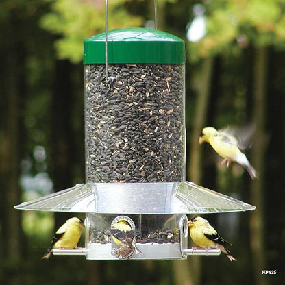 Birds Choice Classic Hanging Bird Feeder with Weatherguard Baffle | Squirrel Proof Bird Feeder for Cardinals, Chickadees, Woodpeckers | Sturdy Steel Construction | Backyard Birdseed Dispenser | Green