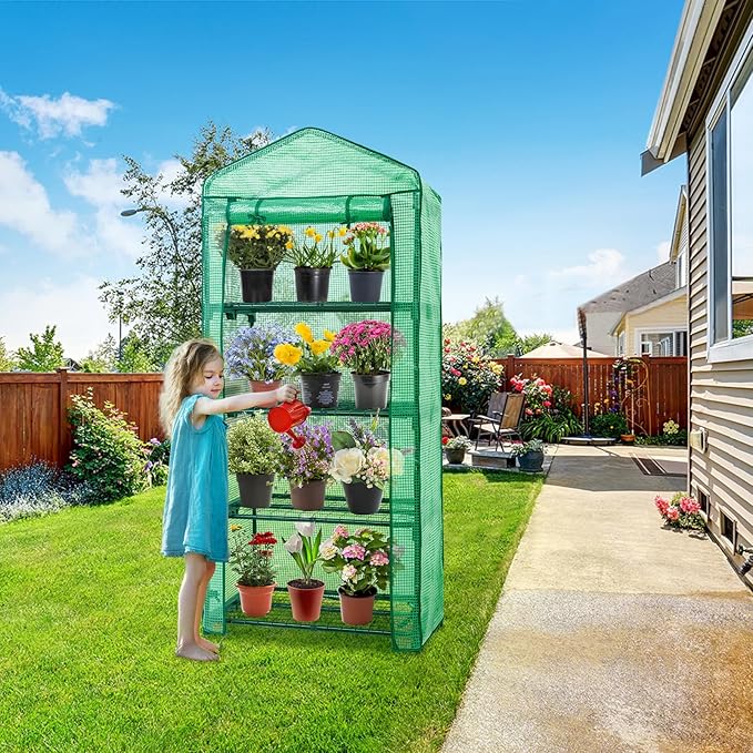 EAGLE PEAK 4-Tier Mini Greenhouse Portable Green House with Shelves & Weather-Resistant PE Cover, Small Greenhouse for Seedlings & Gardening Gifts, 27x19x64 in, Clear/Green