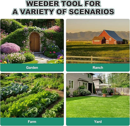 Berry&Bird Triangle Hoe, 60'' Winged Weeder Garden Hoes with Long Wood Handle, Gardener Stainless Steel Warren Hoe, Garden Weeder Hoe Tool for Quickly Weeding, Edging and Gardening Tools