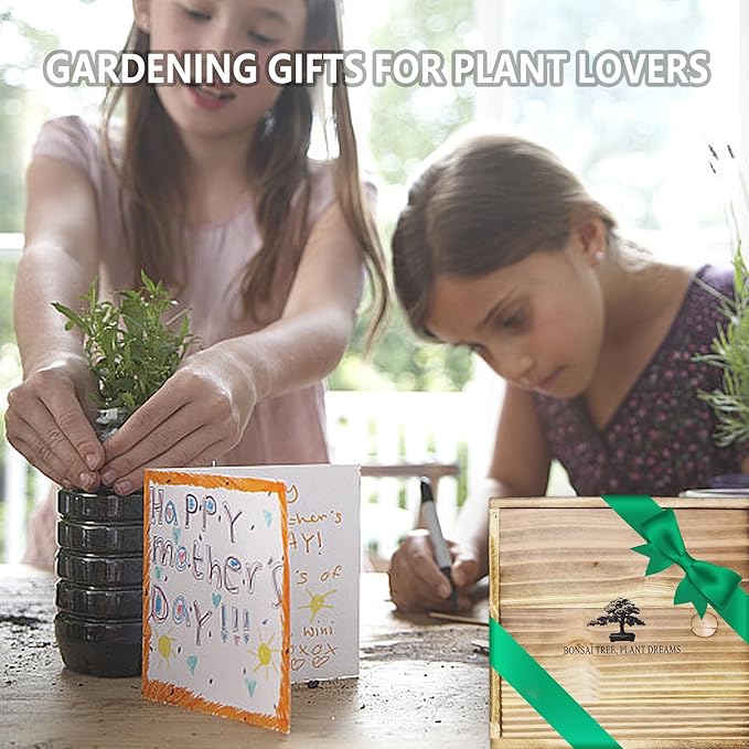 Bonsai Tree Starter Kit for Beginners - Indoor Live Plant Gardening Adult Craft Kits - Unique Christmas, Birthday, White Elephant Gifts for Women, Men & Kids