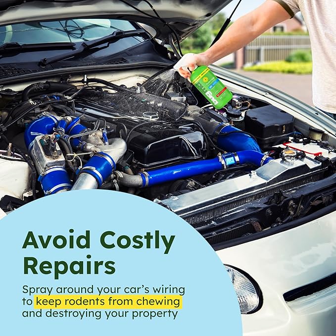 BugMD Peppermint Oil Spray for Rodents - 16oz Mouse Repellent & Rodent Repellent Spray, Natural Mice Repellent with Cinnamon, Clove, and Rosemary Oils - Safe Indoor & Outdoor Use