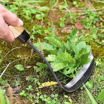 Kana Hoe 217 Japanese Garden Tool - Hand Hoe/Sickle is Perfect for Weeding and Cultivating,Solid Wood Handle for Gardening Tools