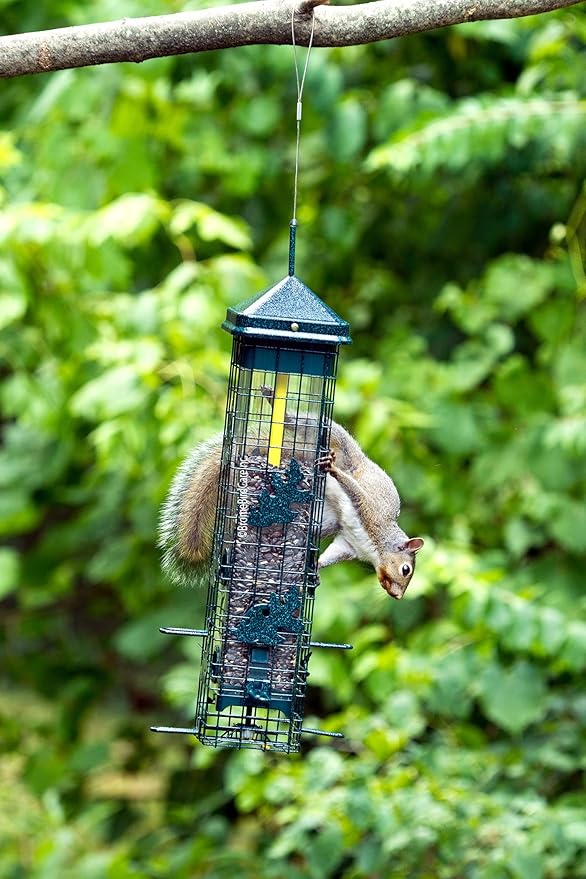 Squirrel Solution200 Squirrel-proof Bird Feeder w/6 Feeding Ports, 3.4-pound Seed Capacity, Free Seed Funnel