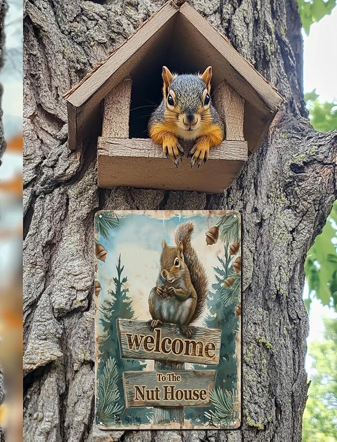 Funny Squirrels Signs Welcome To The Nut House Squirrels Stuff For Indoor Outdoor Decor 12x8 Inches (Green)