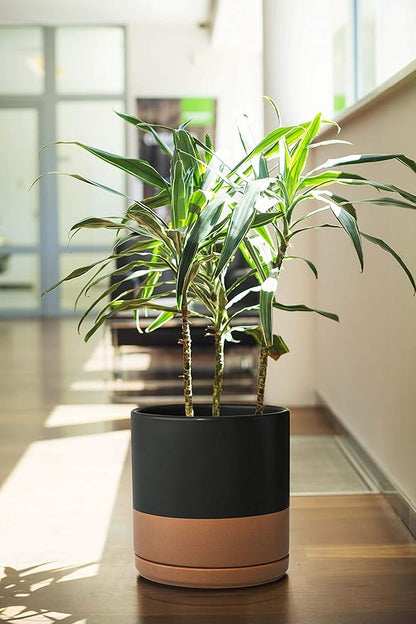 D'vine Dev Set of 2 Plants Pot, 10 Inch Ceramic Planter Pot for Plants with Drainage Hole and Saucer, Black/Speckled Tan, 94-V-E-7
