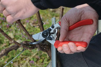 Felco F7 Pruning Shears – 26" Swiss-Made Garden Clippers with Rotating Handle for Reduced Fatigue | Hand Pruners for Gardening | Garden Tool Cutter with Precision Bypass Blade, Aluminum Handles