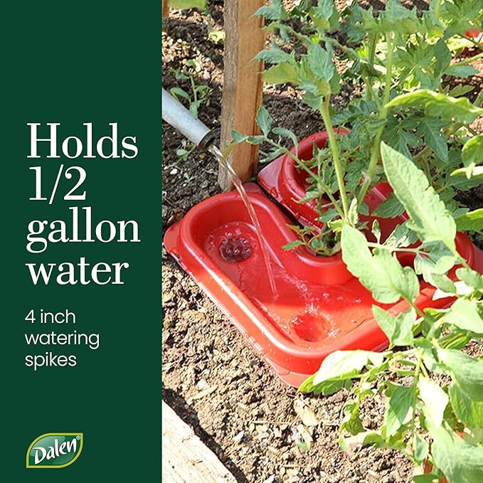 Dalen Gardeneer Tomato Tray Super Boost – Increases Tomato Plant Yield up to 40% – Easy to Install – 12" x 12" x 3.5" – Pack of 3