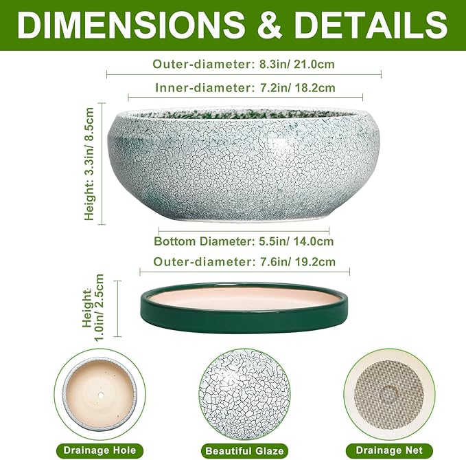 Bonsai Tree Pots - 8 Inch Ceramic Succulent Pot with Drainage Hole and Tray, Bonsai Pots, Shallow Planters for Indoor Outdoor, Round Planter Bowl, House Decor, Gifts for Plant Lovers, Green