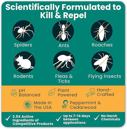 Home Guard - Peppermint Insect & Pest Control Spray - Natural Peppermint Oil Spray For Bugs - Plant-Based Indoor & Outdoor Spider Spray - Safe Around Kids & Pets - Ant Killer - Cockroach Killer - 16oz