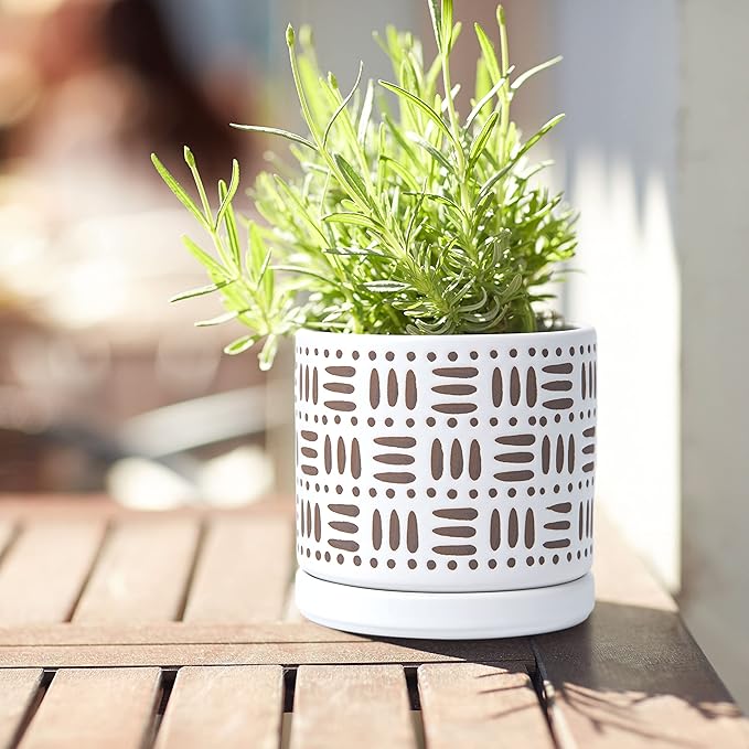 D'vine Dev Set of 2 Ceramic Planter Pots with Drainage Hole and Saucer, 4.5 Inch Plant Pots for Plants Indoor Houseplants, White, 99-Z-F-1-V