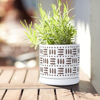 D'vine Dev Set of 2 Ceramic Planter Pots with Drainage Hole and Saucer, 4.5 Inch Plant Pots for Plants Indoor Houseplants, White, 99-Z-F-1-V