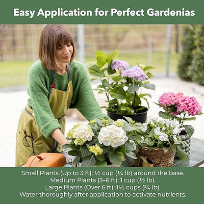 Slow Release Hydrangea Fertilizer with Iron & Sulfur – Indoor & Outdoor Soil Acidifier for Miracle Growth (12 oz)