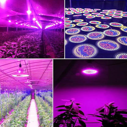 highydroLED 2Pack 156 LED Full Spectrum Plant Light, E27 Grow Light Bulb for Indoor Plants, Plant Lamp with Red/Blue/White/Warm/IR/UV, 85-265V, Easy Install for Succulents Flowers Veggies