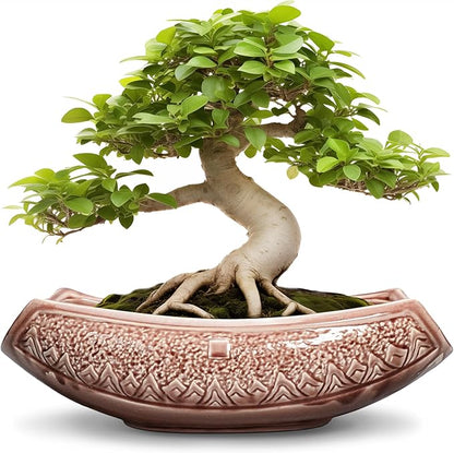 Large Bonsai Pots - 18 Inch Ceramic Succulent Pots with Drainage Hole, Bonsai Planter for Indoor Outdoor Plants, Ceramic Flower Pot, Decorative Plant Pot, Home Decor, Birthday Gifts, Red-Brown