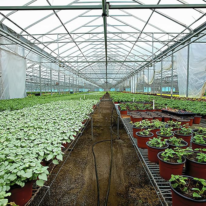 Greenhouse Plastic Sheeting 25x40 ft, 6 mil Thickness Replacement Cover, UV Resistant