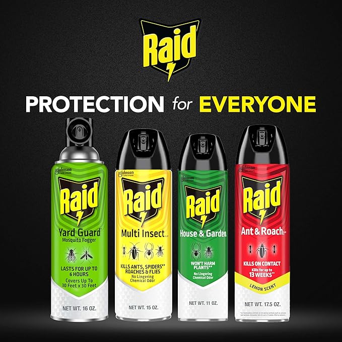 Raid House & Garden Insect Killer Spray, Orange Scent 11 Ounce (Pack of 1)