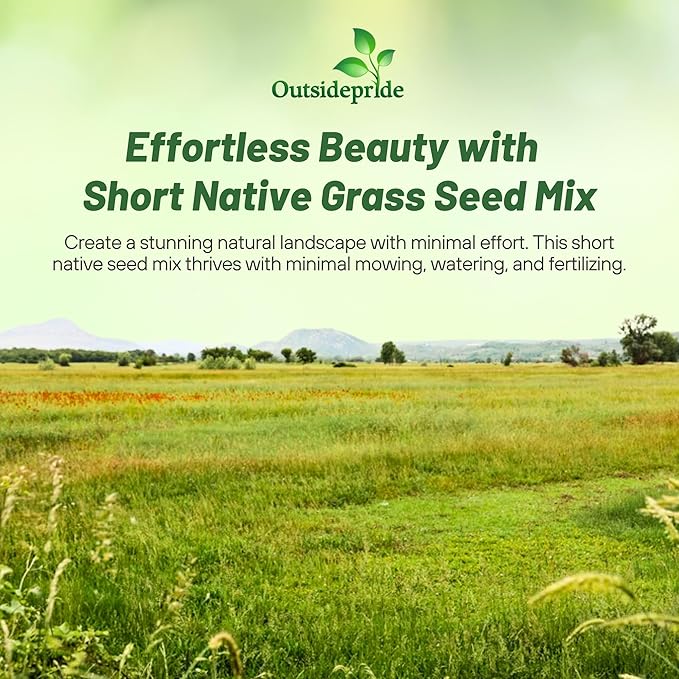 Outsidepride Perennial Short Native Grass Seed Mix - 1 lb. Premium Mix of Blue Grama, Buffalo, Sideoats Grama, & Sheep’s Fescue Grass Seeds for Low-Maintenance, Heat & Drought-Tolerant Landscaping