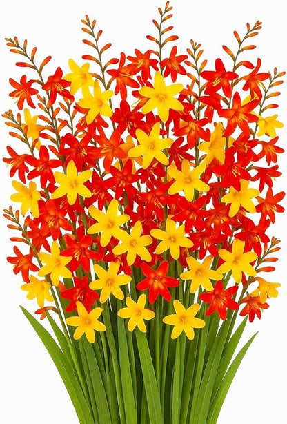 Crocosmia Mixed Color Flower Bulbs for Planting - Easy to Grow, Amazing Color (10 Bulbs)