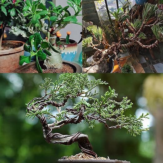 2 Rolls 2mm Bonsai Training Wire, Aluminum Training Wire for Holding Bonsai Branches Small Trunks, Brown