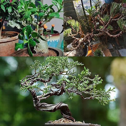 2 Rolls 2mm Bonsai Training Wire, Aluminum Training Wire for Holding Bonsai Branches Small Trunks, Brown