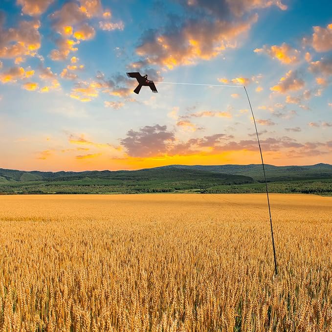 eyijklzo Bird Scarer Flying Kite Crops Farm Flying Bird Hawk Flying Kite