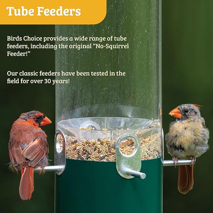 Birds Choice Classic Squirrel Proof Bird Feeder with Pole Mount | Tube Bird Feeder for Cardinals, Chickadees, Woodpeckers | Sturdy Steel for Long-Lasting Use | Backyard Birdseed Dispenser | Green