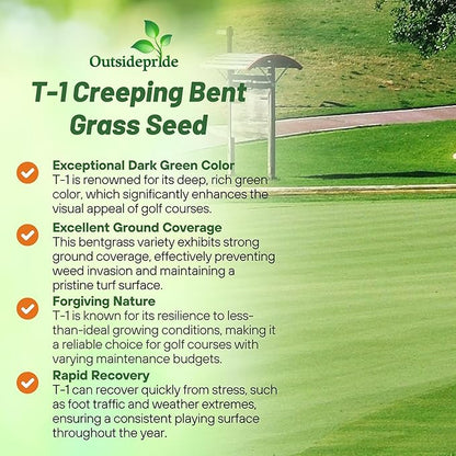 Outsidepride T-1 Creeping Bentgrass Seed - 25 lbs Fine-Bladed, Premium Quality Turf, Grass Seed for Smooth Surface, & High-Traffic Areas, Ideal Grass for Golf Courses Putting Greens, & Fairways