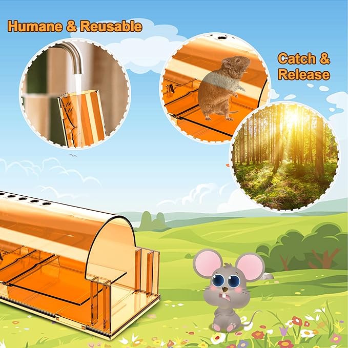 4 Pack Humane Mouse Traps No Kill, Live Mouse Traps Indoor, Reusable Small Mice Trap Catcher for House & Outdoors