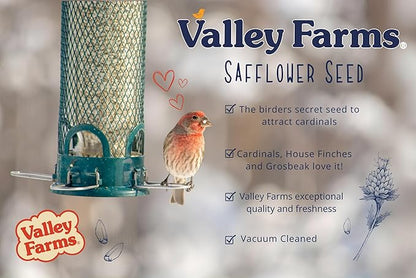 Valley Farms Safflower Seed Wild Bird Food (4 LB) Birdseed for Outside Feeders to Attract Cardinals, Titmice & Grosbeaks