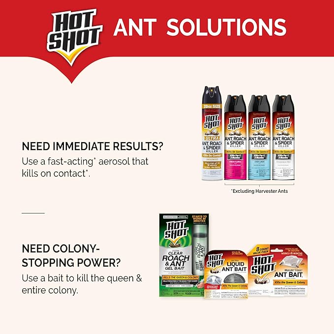 Hot Shot Ant Bait, 1 Pack, 4 count