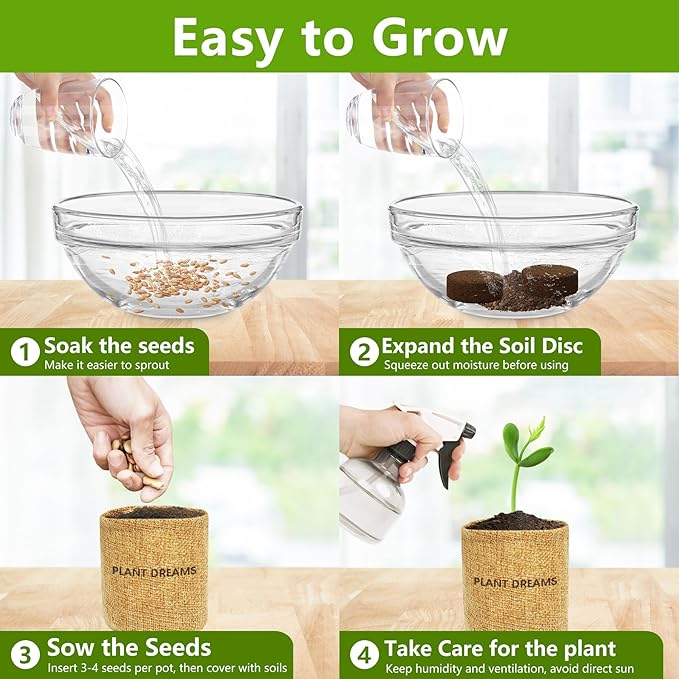 Bonsai Tree Kit, Bonsai Starter Kit with Seeds Tools & Planters, Tree Live Plants Indoor, Gardening Gifts for Women Men Mom Father Plant Lover, Birthday Thanksgiving Christmas Gifts