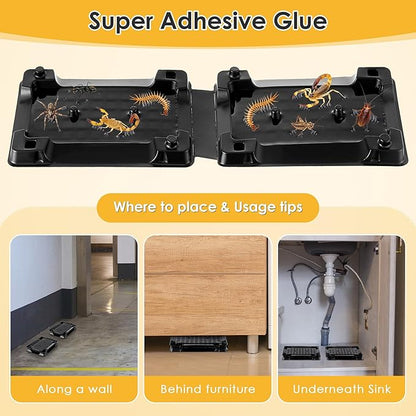 Qualirey 6 Scorpion Glue Tray Traps, Adhesive Scorpion Killer Indoor, Pet and Children Safe, Scorpion Repellent, Insect Traps Indoor, Sticky Bug Catcher for Basement, Bathrooms and Garage