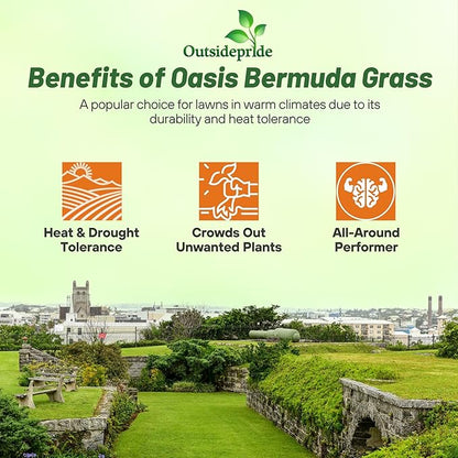 Outsidepride Oasis Bermuda Grass Seed - 10 lbs Warm Season, High Traffic, Heat Resistant, Drought-Tolerant, Low-Maintenance, Fast Growing Turf Grass for Lawn, Ideal for Sunny Areas, Thick Coverage