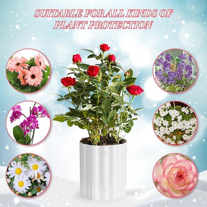 Queekay 20 Pcs Rose Cones for Winter Protection, 16.5 x 9 Inch Winter Rose Collars Bush Cover for Keep Warm, Protecting Plants from Wind Blows Freeze Animals Eating Indoor Outdoor Gardens (White)
