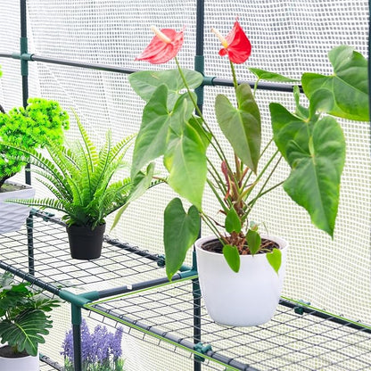 Walk-in Greenhouse for Outdoor, 57 x 57 x 77'' Walk in Plant Greenhouses with Durable UV-Resistant Cover, Reinforced Green House with 3 Tiers Stands Heavy Duty for Patio, Backyard and Porch