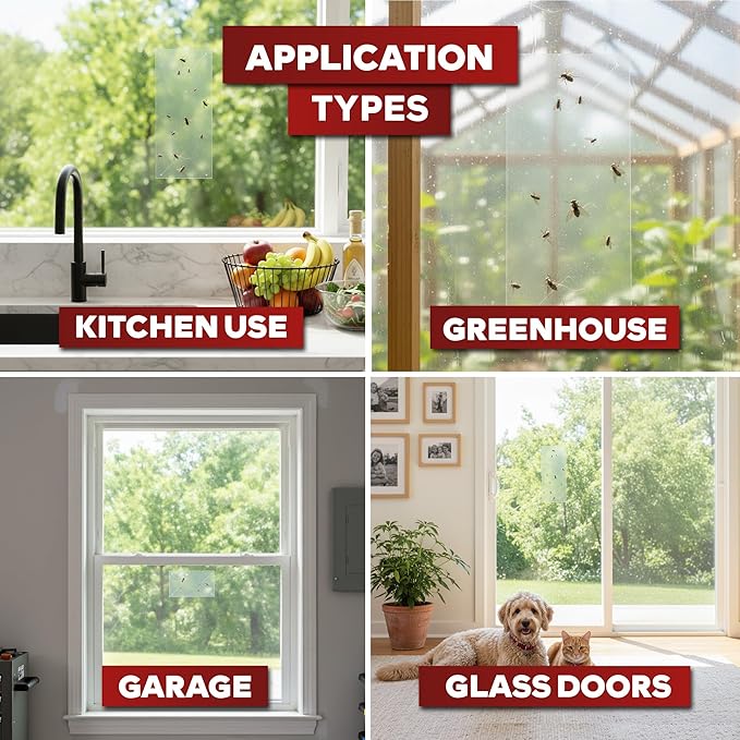 XFasten Window Fly Traps Sticky Clear 50-Pack Fruit Fly Traps for Indoors Sticky, Residue-Free, Odorless, Discreet Adhesive Indoor Catcher for Fruit Flies Houseflies, Gnats on Windows Kitchen Garage