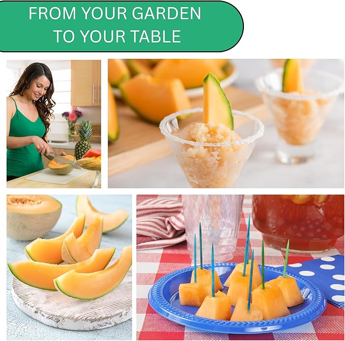 Woods Creek Seeds: Hales Best Jumbo Cantaloupe Melon Seeds for Planting - Over 130 Heirloom Non-GMO Cantaloupe Seed for Planting - Beginner Friendly Fruit Seeds for Home Gardening