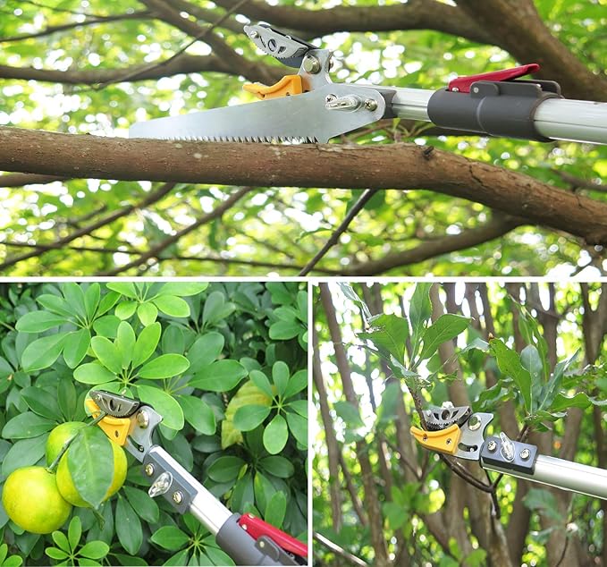 6-10 Foot Tree Pruner 2 Sections Extendable 4 Nodes Adjustable, Cut and Hold Pruning Trimmer, Long Reach Pole Saw, Telescoping Fruit Picker, Branches Bypass Lopper With Hook