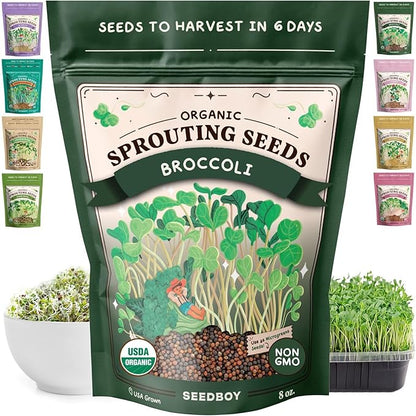 Seedboy Organic Non-GMO Broccoli Seeds for Sprouting - USA Grown Microgreens Sprouting Seeds - 8 oz Bag Makes 8 Quarts / 24 Servings (Di Cicco Broccoli)