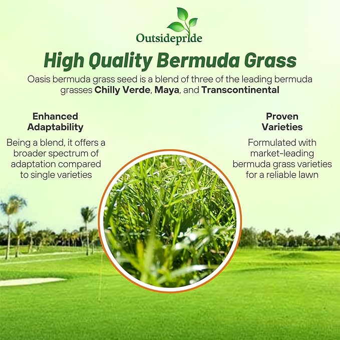 Outsidepride Oasis Bermuda Grass Seed - 50 lbs Warm Season, High Traffic, Heat Resistant, Drought-Tolerant, Low-Maintenance, Fast Growing Turf Grass for Lawn, Ideal for Sunny Areas, Thick Coverage