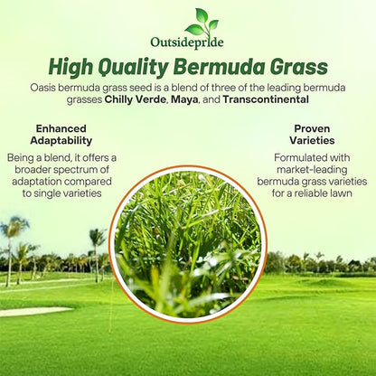 Outsidepride Oasis Bermuda Grass Seed - 50 lbs Warm Season, High Traffic, Heat Resistant, Drought-Tolerant, Low-Maintenance, Fast Growing Turf Grass for Lawn, Ideal for Sunny Areas, Thick Coverage